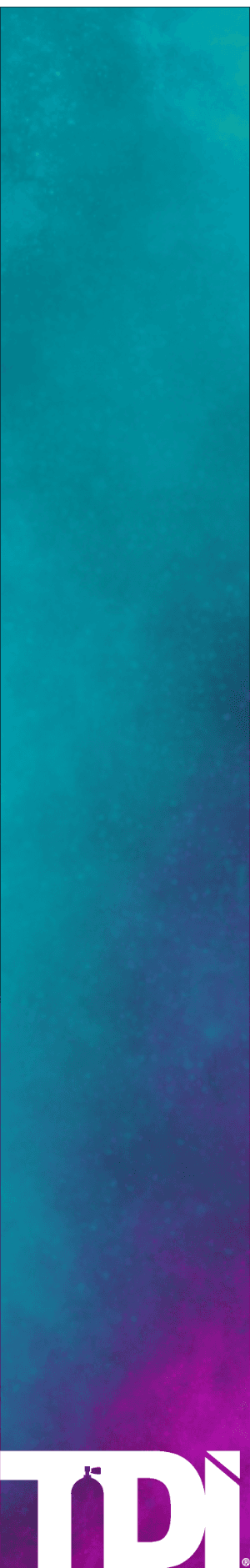 Mixture of different sea creatures and divers